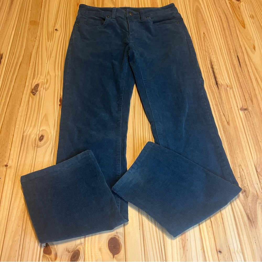 Patagonia corduroy blue pants 26/2
